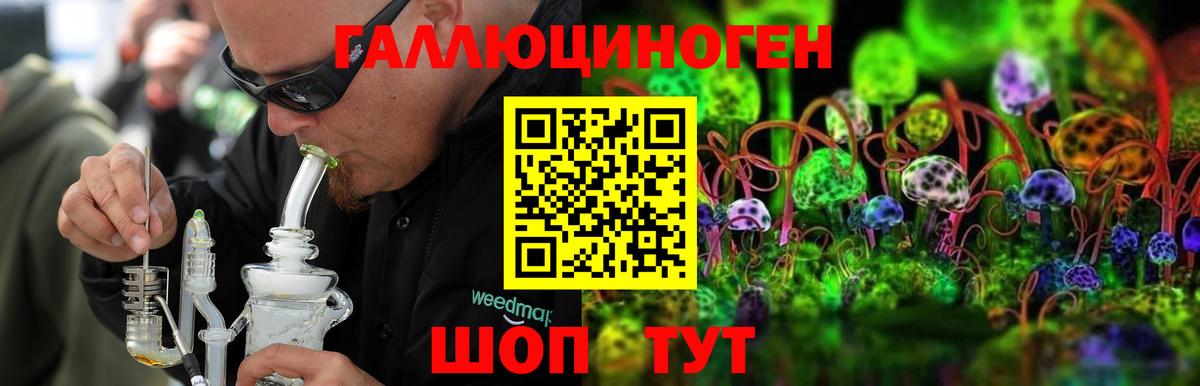 Галлюциногенные грибы мухоморы Чистополь